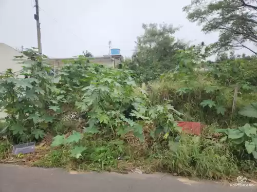 Imóvel 959