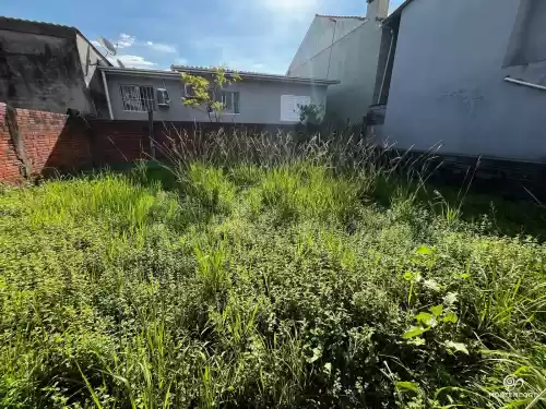 Imóvel 536