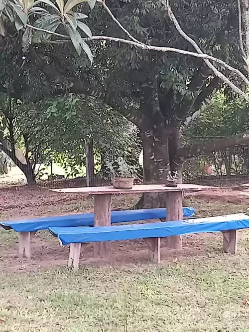 Imóvel 797