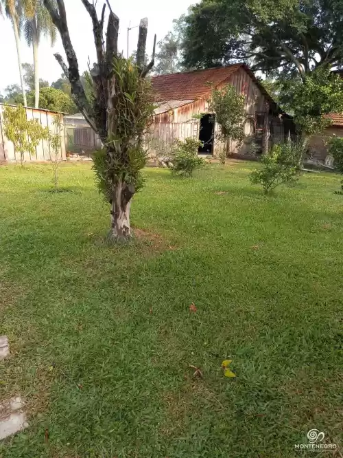 Imóvel 797