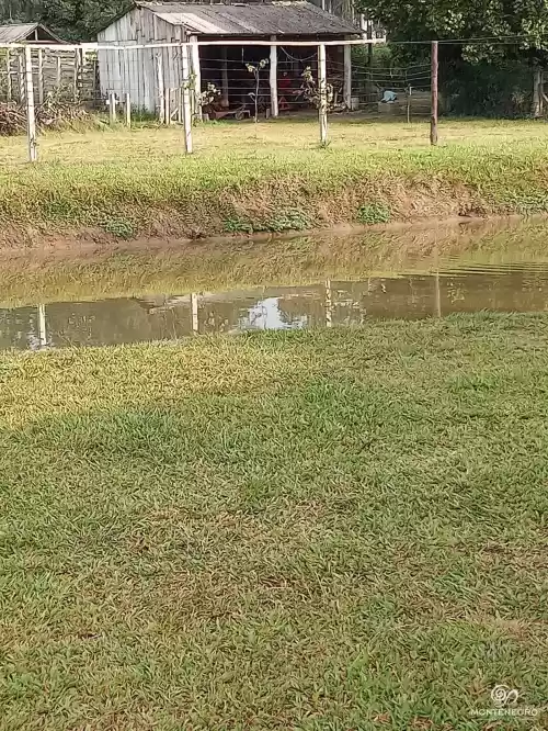 Imóvel 797