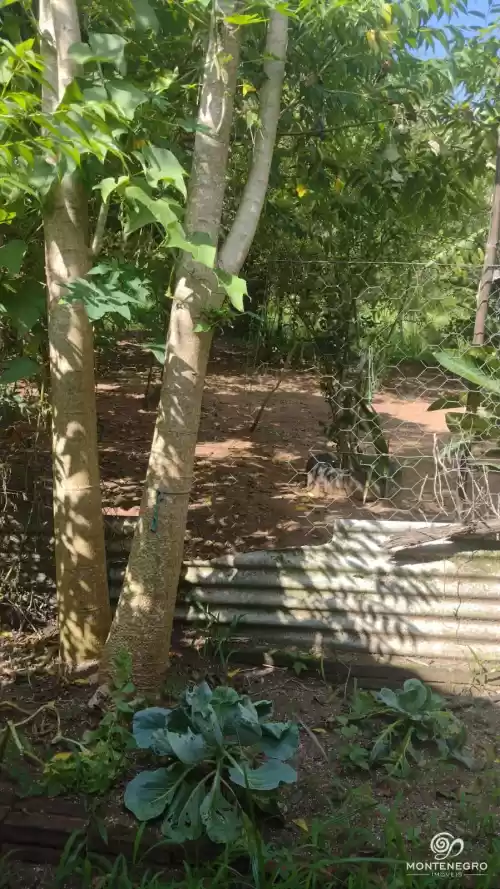 Imóvel 902