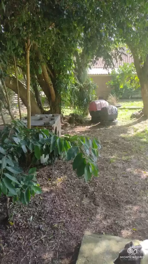 Imóvel 902